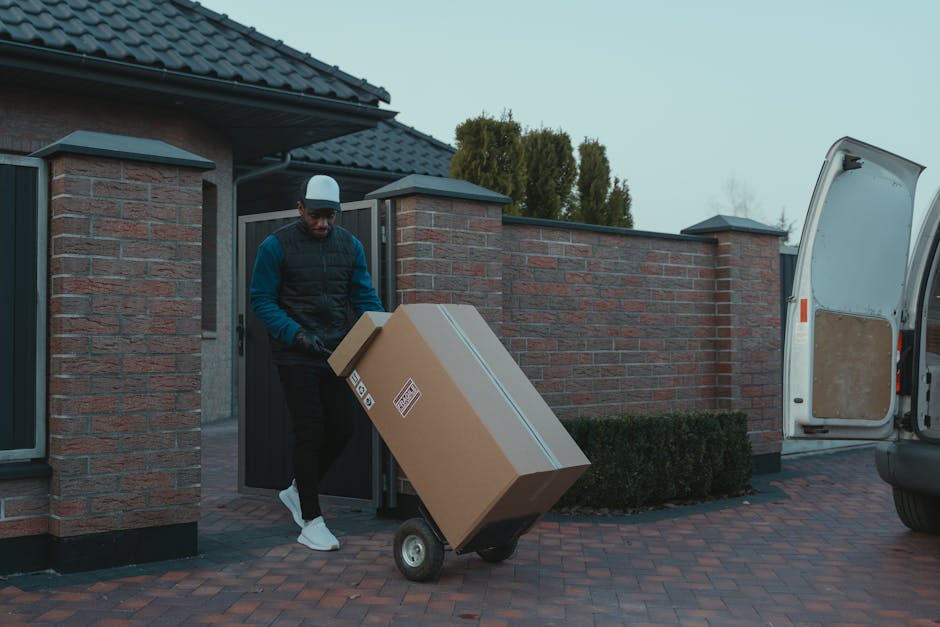 A man wearing a white polo shirt and sunglasses is seen from inside a moving van, standing at the open rear door during a home relocation. The man is carrying a cardboard box, with several other boxes